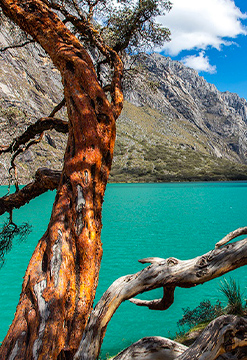 Huaraz a medida